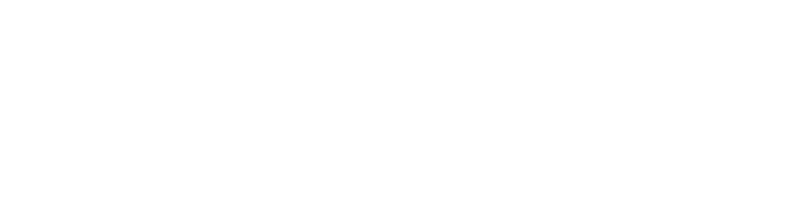The Dental Studio